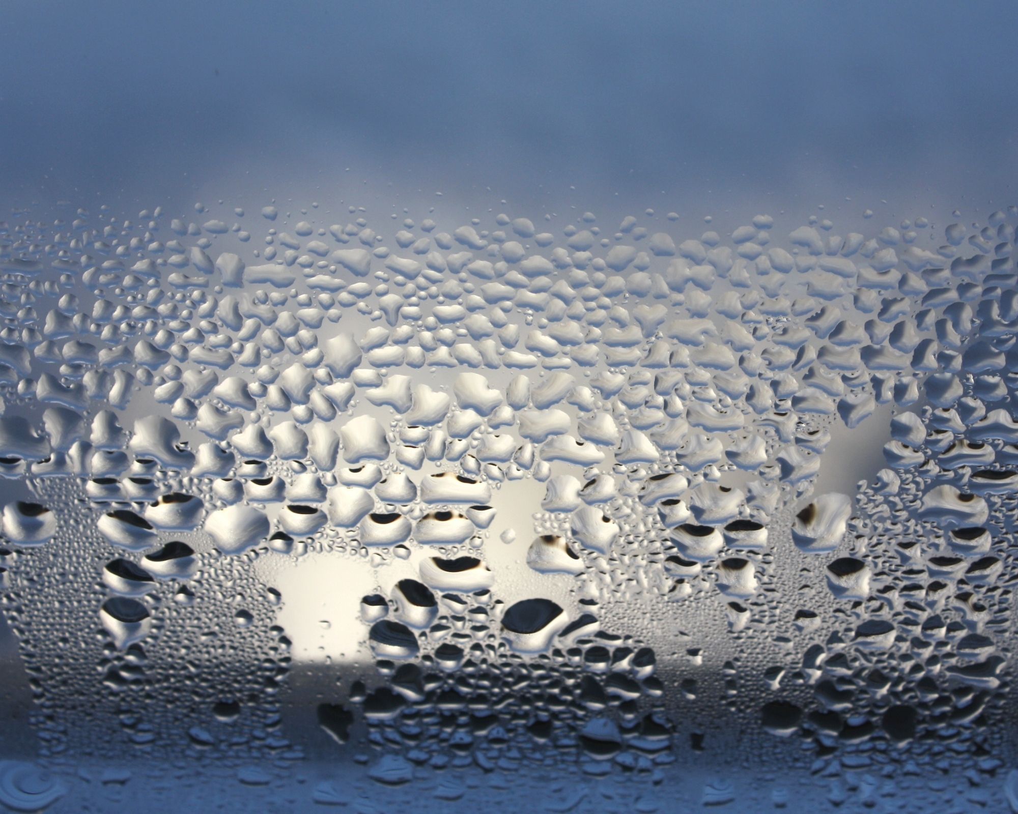 Expertise humidité Expertise humidité