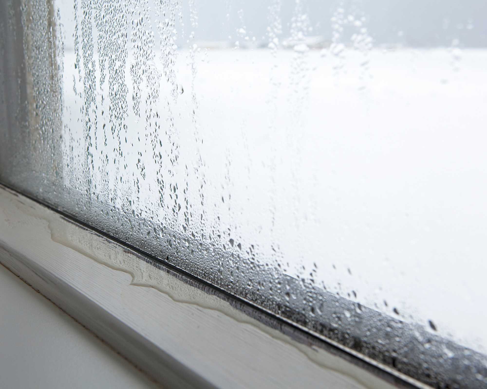 Expertise humidité Expertise humidité